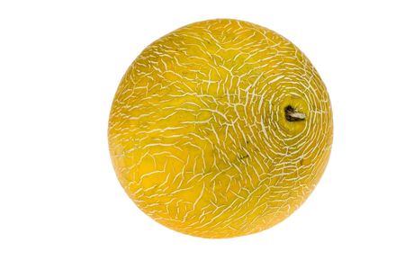 Big fresh yellow melon isolated on white backgroundの写真素材