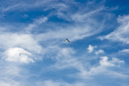 Small planeの写真素材