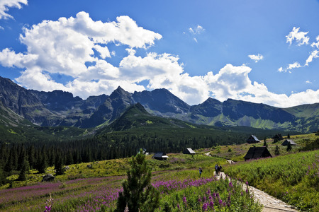 View of the most beautiful valley in the Polish Tatrasの写真素材