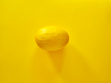 Yellow Melon Fruit isolated in yellow background viewed from above - flatlay look - Image Minimalism conceptの写真素材