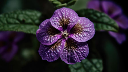 A close-up of a blooming flower with dewdrops clinging to the petals created with Generative AIの素材