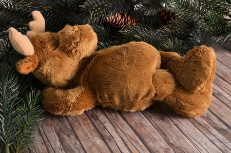 Christmas Mooseの写真素材