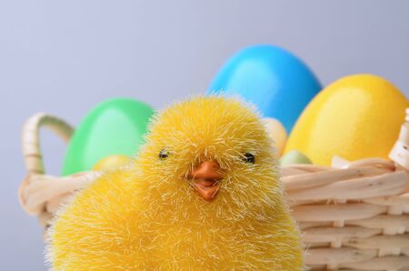 Easter chick