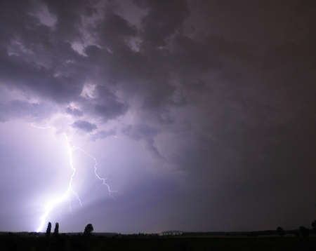 Lightning strikes at the horizon near two trees.