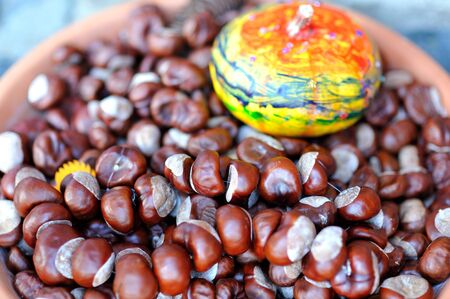 Chestnuts and pumpkin in a bowl 