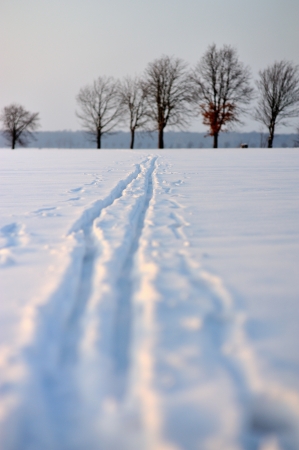 trailの写真素材