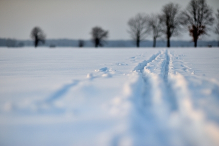 trailの写真素材