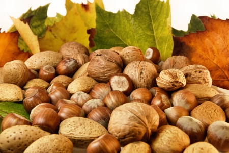 Isolated Nuts and autumn leavesの写真素材