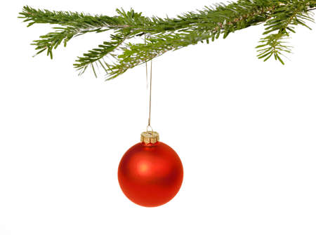 Red Christmas decorations hanging from a pine branch - isolated on white backgroundの写真素材