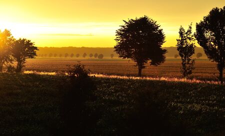 Golden sunset over the fields with long shadows  The picture is not edited, just croppedの写真素材