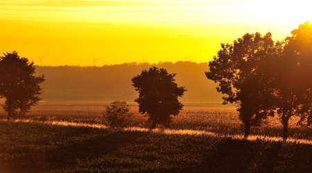 Goldener Sonnenuntergang über den Feldern mit langen Schatten  Das Bild ist nicht bearbeitet, nur beschnitten の写真素材