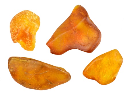 Four isolated amber piecesの写真素材