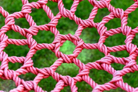 Red web in front of a green backgroundの写真素材