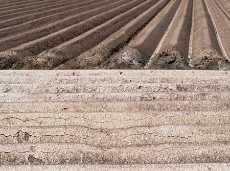Structures of a potato fieldの写真素材