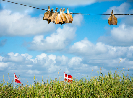 Sun-dried Plaice on a line with danish flags
