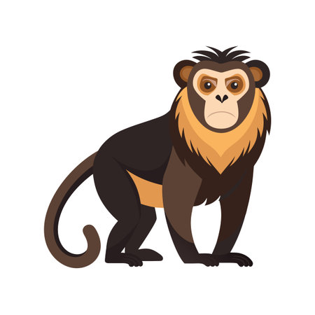 Cartoon illustration of a lion tamarin monkey on white