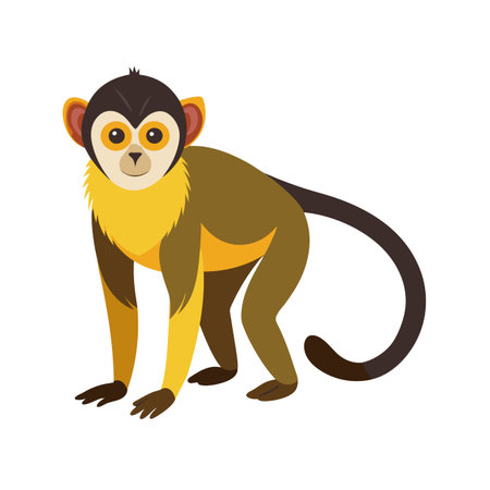 Cartoon squirrel monkey illustration in a simple flat style