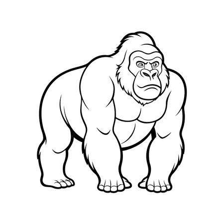 Cartoon gorilla vector illustration, outlined, standing, isolated on white
