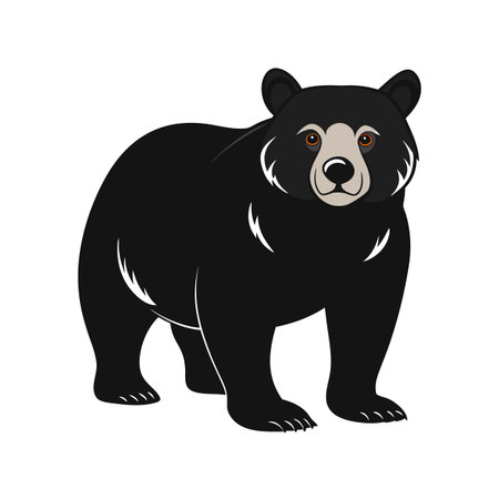 Flat vector illustration of a black bear standing upright