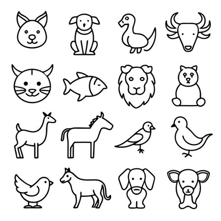 Black Outline Icons Set