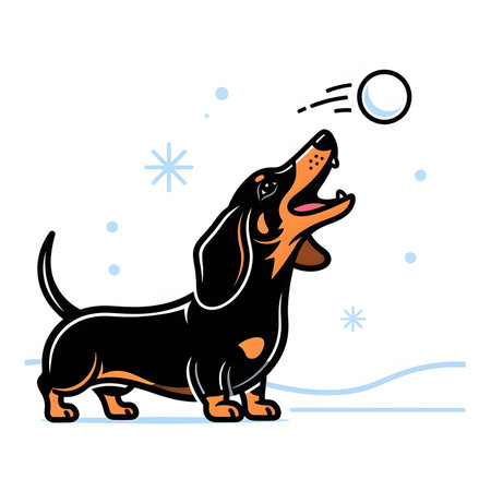 Energetic dachshund dog leaps high trying to catch white snowball outside. Playful puppy enjoying winter season simple line illustration.の素材