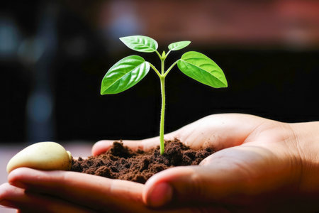 Human hands holding young plant with soil on blurred background, Save world conceptの素材