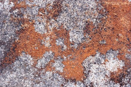 Stone Texture