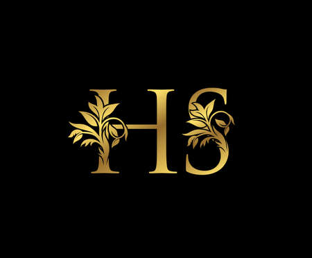 Classy Gold letter H, S and HS Vintage decorative ornament letter stamp, wedding logo, classy letter logo icon.のイラスト素材