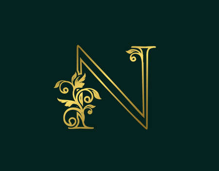 Gold N Luxury Logo Icon, Classy Letter Logo Design. Luxury Silver calligraphic alphabet arts logo.のイラスト素材