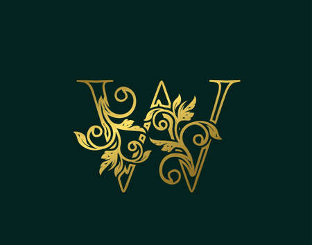Gold W Luxury Logo Icon, Classy Letter Logo Design. Luxury Silver calligraphic alphabet arts logo.のイラスト素材