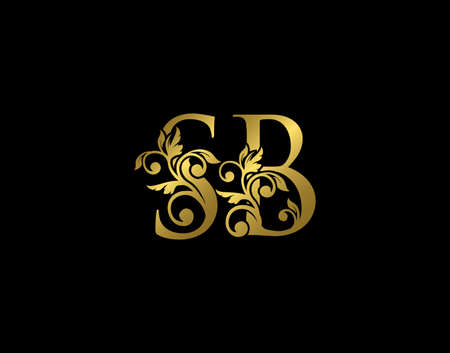 Gold S, B and SB Luxury Letter Logo Icon. Graceful royal style. Luxury alphabet arts logo.のイラスト素材