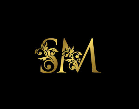 Gold S, M and SM Luxury Letter Logo Icon. Graceful royal style. Luxury alphabet arts logo.のイラスト素材