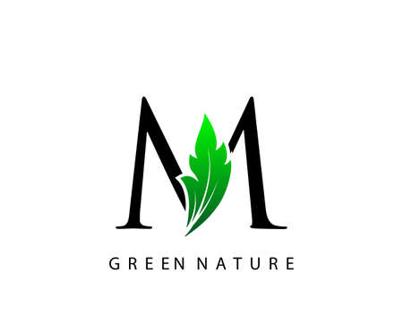 Nature M Letter Green Leaf Logo Design.のイラスト素材