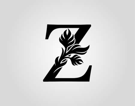 Initial letter Z luxury beauty flourishes ornament logo vector template.のイラスト素材