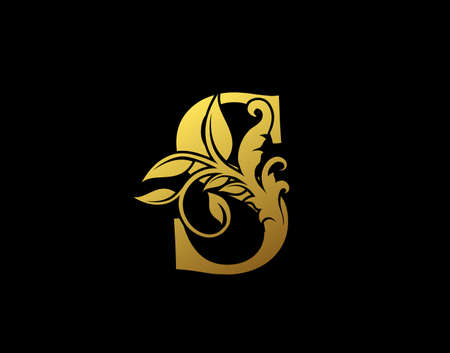 Luxury S Letter Design. Graceful Ornate Icon Vector Design. Vintage drawn emblem for book design, brand name, business card, Restaurant, Boutique, Hotel.のイラスト素材