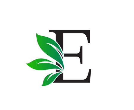 Letter E Logo with Green Leaves, Nature Logo or Icon Design Template.のイラスト素材