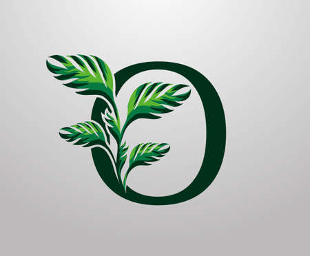 Letter O monstera green plant icon, tropical leaves decorative logoのイラスト素材