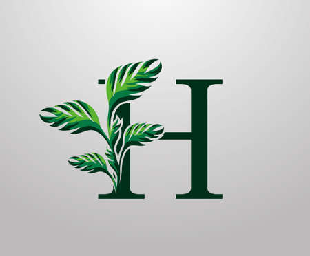 Letter H monstera green plant icon, tropical leaves decorative logoのイラスト素材