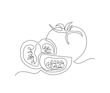 Continuous line art drawing of Tomatoes. Tomato single line art drawing for plantation business concept.のイラスト素材