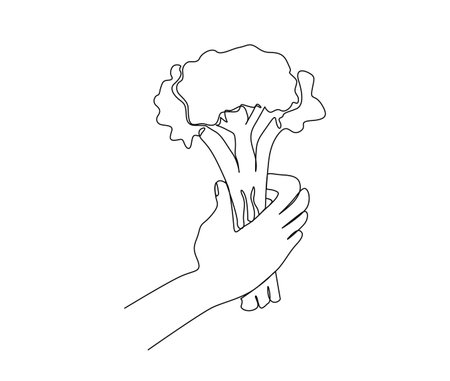 Continuous one line drawing of hand holding broccoli. Fresh broccoli line art for agricultural, farming , organic food , cafe, restaurant and vegan concept.のイラスト素材