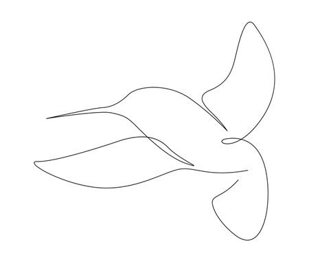 Continuous one line drawing of collibri. Humming bird. Abstract flying bird outline vector illustration.のイラスト素材