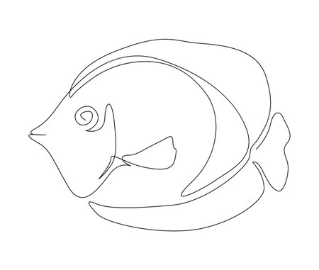Continuous one line drawing of fish. Simple butterflyfish outline vector illustration.のイラスト素材