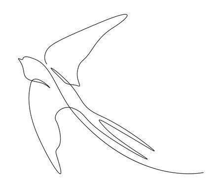 Continuous one line drawing of flying swallow bird. Simple barn swallow outline vector illustration.のイラスト素材