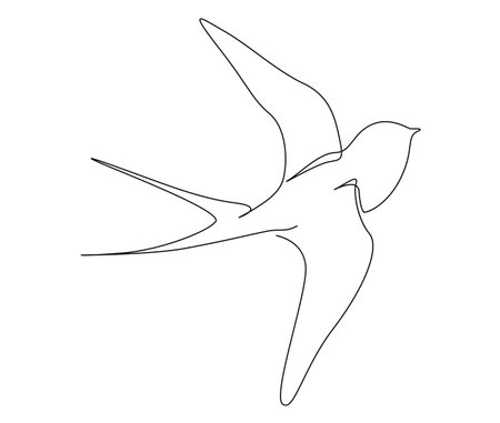 Continuous one line drawing of flying swallow bird. Simple barn swallow outline vector illustration.のイラスト素材