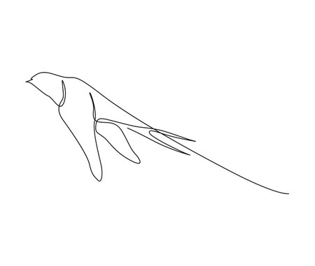 Continuous one line drawing of flying swallow bird. Simple barn swallow outline vector illustration.のイラスト素材