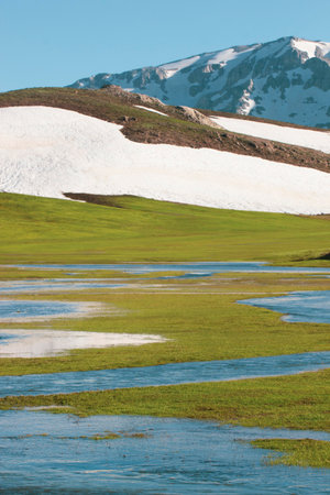 Green grassland with snow and blue sky in Tibet, China.の写真素材