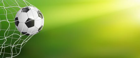 Soccer ball in goal net on green backgroundのイラスト素材