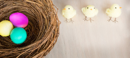 Bright colorful Easter eggs with chicks in rustic nest or basket on wooden background. Flat Lay with...