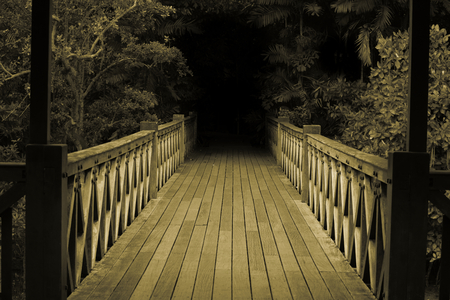 Wooden Bridge Into The Darkness In Sepiaの写真素材