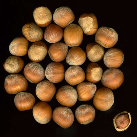 hazelnuts in shells on black with one cracked nut apart - being differentの写真素材